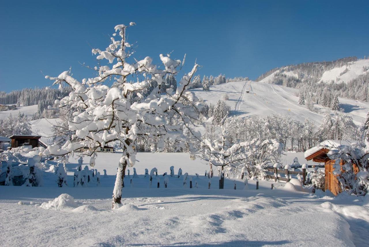 Das Glaagut - Familie Hain Hochfilzen Buitenkant foto